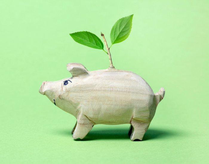 stock photo of wood-carved piggy bank against green background